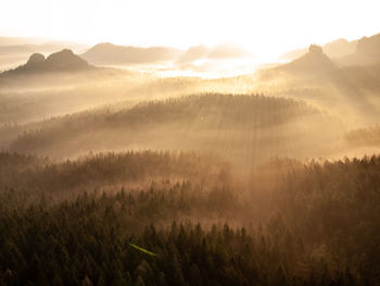 Bright dawn in early morning on countryside. landscape of nature. sunrise golden light of dawn