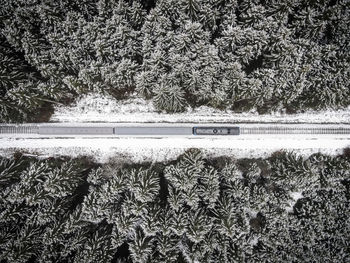 Scenic view of snow covered field