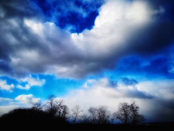 Low angle view of silhouette trees against blue sky