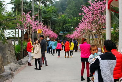 High angle view of people in park