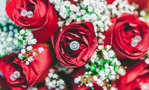 Close-up of roses