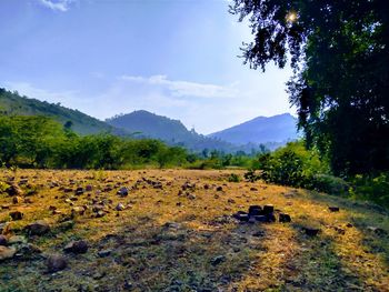 Scenic view of field against sky