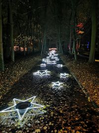 Footpath amidst trees in park during autumn