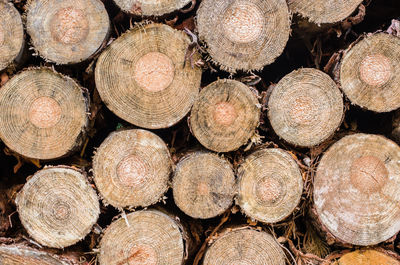 Full frame shot of stacked logs