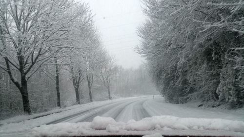 Snow covered road amidst trees against sky