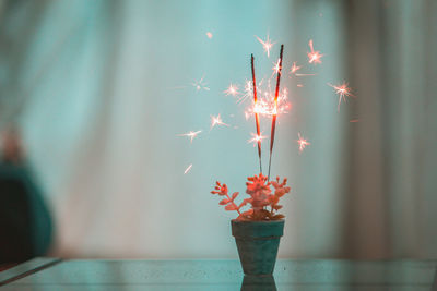 Close-up of illuminated sparklers in potted plant on table at home