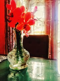 Close-up of red flowers