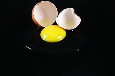 High angle view of eggs against black background