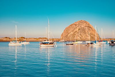 Sailboats moored in sea against clear blue sky