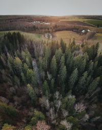 High angle view of trees on landscape against sky