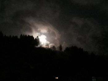 Low angle view of silhouette trees against sky at night