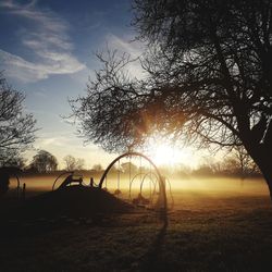 Silhouette trees on field against sky at sunset