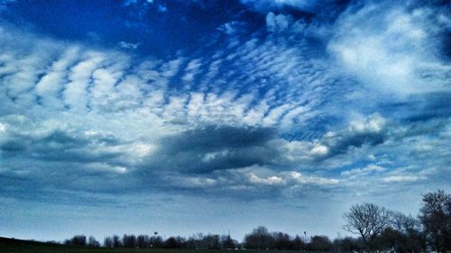 Low angle view of silhouette trees against blue sky