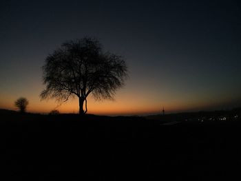Silhouette tree against clear sky at night