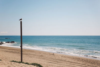 Scenic view of beach against clear sky