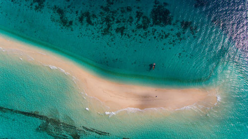 Low section of man swimming in sea