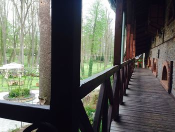 Walkway along trees