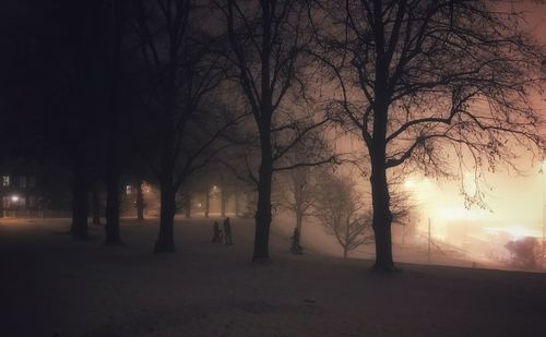 Bare trees on snow covered landscape at night