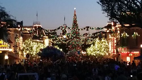 Crowd at illuminated christmas tree against sky at night