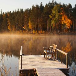 Empty bench on pier over lake by forest