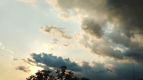 Low angle view of trees against sky