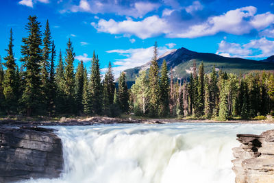 Scenic view of waterfall in forest