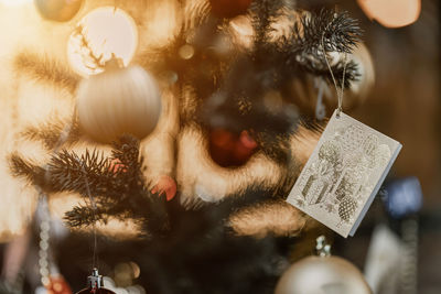 Close-up of cat hanging on christmas tree