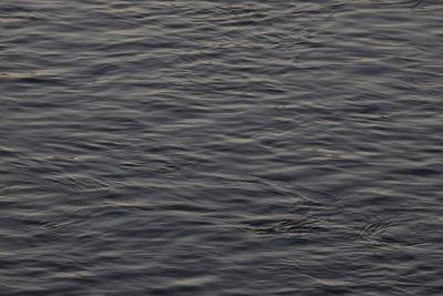 Full frame shot of rippled water