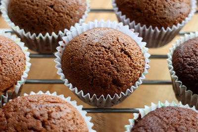 Close-up of chocolate cupcakes