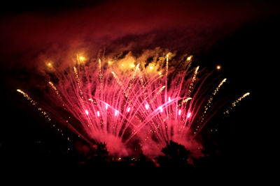 Low angle view of firework display