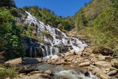 Scenic view of waterfall in forest