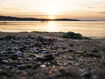 Scenic view of sea during sunset