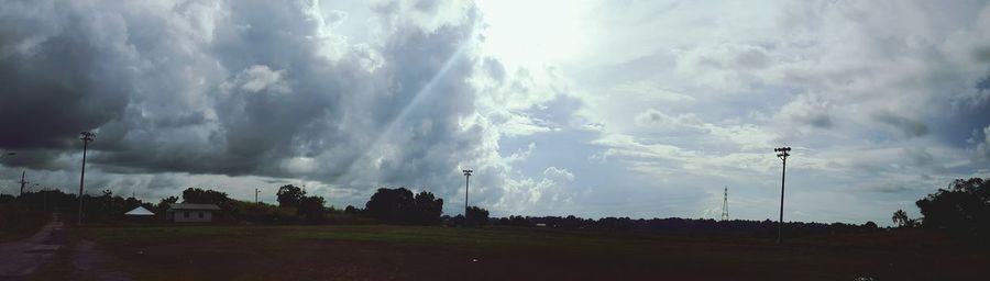 Panoramic view of trees against sky