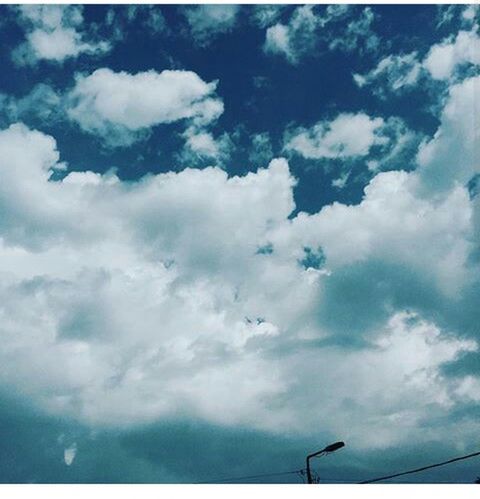 LOW ANGLE VIEW OF BIRDS FLYING IN SKY