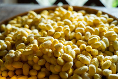 Close-up of yellow cocoons in basket
