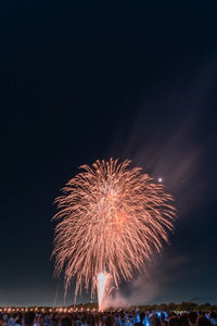 Low angle view of firework display at night