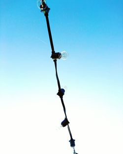 Low angle view of silhouette tree against blue sky
