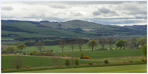 Scenic view of agricultural field against sky