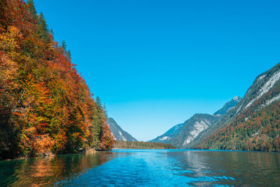 Scenic view of lake by trees against clear blue sky