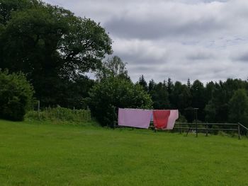 Trees on field against sky