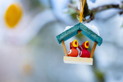 Close-up of christmas decorations hanging on tree