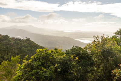 Scenic view of tree mountains against sky