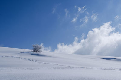 Scenic view of snow covered field against sky