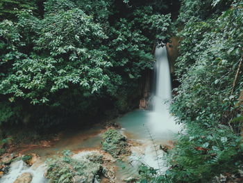 Scenic view of waterfall in forest