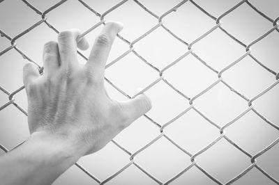 Close-up of hand holding chainlink fence