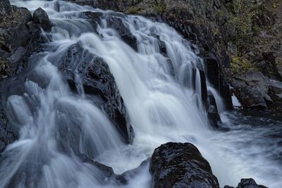 Scenic view of waterfall in forest