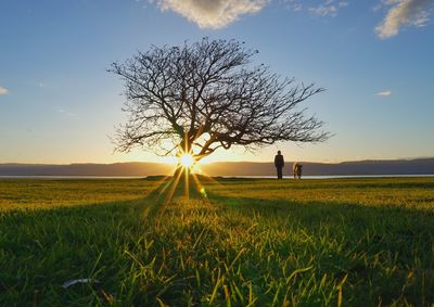 Scenic view of field against sky during sunset