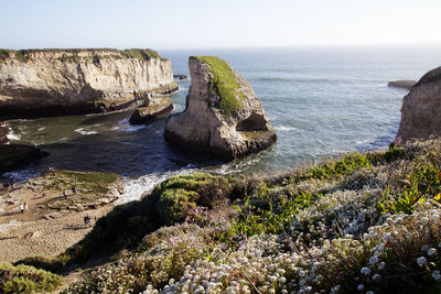 Shark fin cove  beach, california, usa