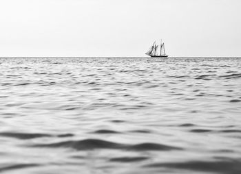 Sailboat sailing in sea against clear sky