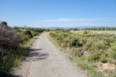 Road amidst field against sky